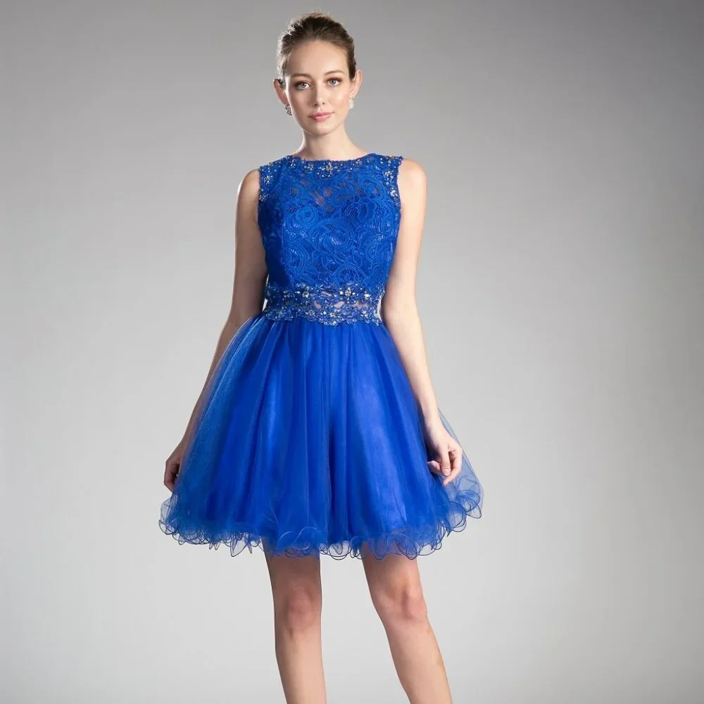 NEW ROYAL  Scoop Neck Lace Bodice A-Line Dress CD0117 - Picture 3 of 4